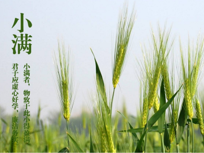 人生小滿，即是圓滿|睿寂行